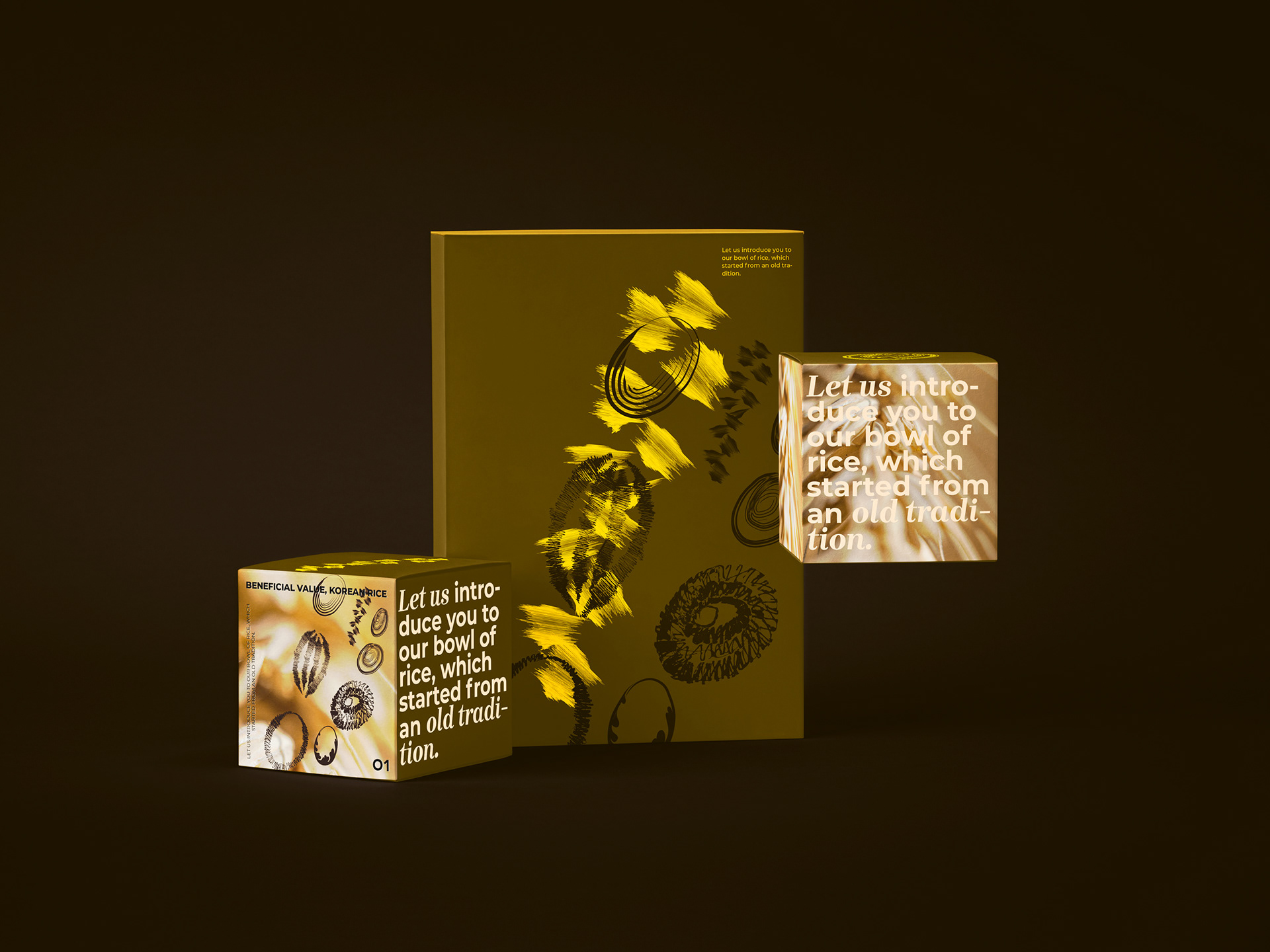 Package Design Study 브랜드·BX 포트폴리오 — 2번째 적용 이미지